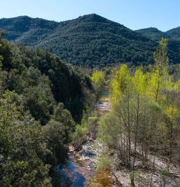 Galeria de fotos de l'Hotel Alta Garrotxa