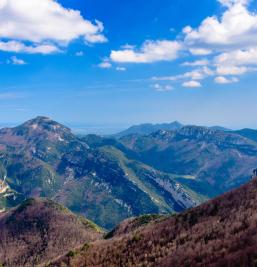 Galería de fotos del Hotel Alta Garrotxa