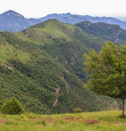 Galería de fotos del Hotel Alta Garrotxa