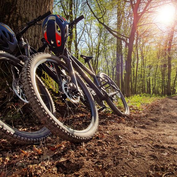Adventure Bike