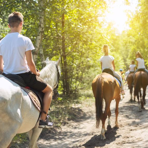 Horseback riding routes