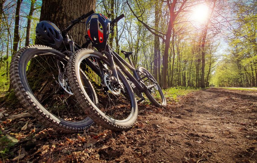 Un entorn rural replet de tranquil·litat... i d'activitats!